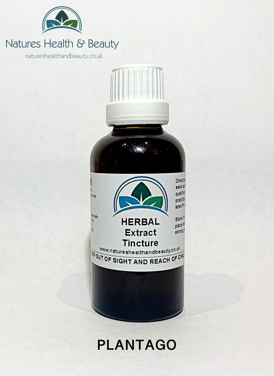 Plantago Herbal Tincture